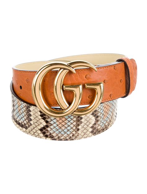 gucci snakeskin belt.